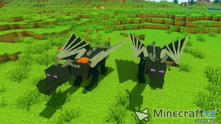 龙坐骑Dragon Mounts Mod-4