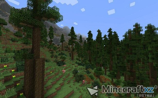 真实世界生成Realistic World Gen Mod-6