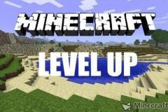 等级能力Level Up Mod