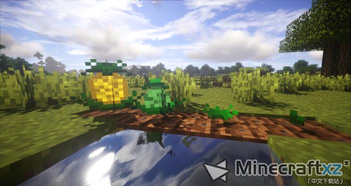 植物艺术Plants Mod-7