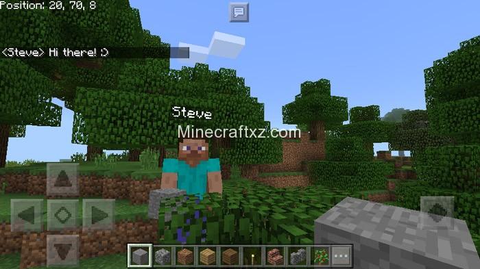 坐标显示资源包 手机版 Minecraft中文下载站