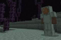 the-space-addon-520x245.jpg