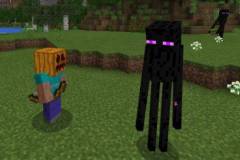 enderman-pet-1-520x245.jpg