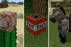 ultimate-blocks-skins-1-520x245.jpg