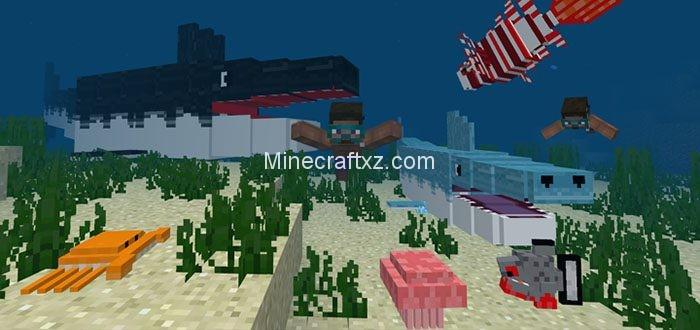 海洋pe行为包 手机版 Minecraft中文下载站