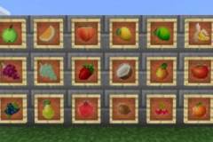 more-fruit-addon-1-520x245.jpg