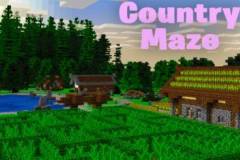 country-maze-1-520x245.jpg