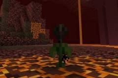 wither-rose-1-520x245.jpg