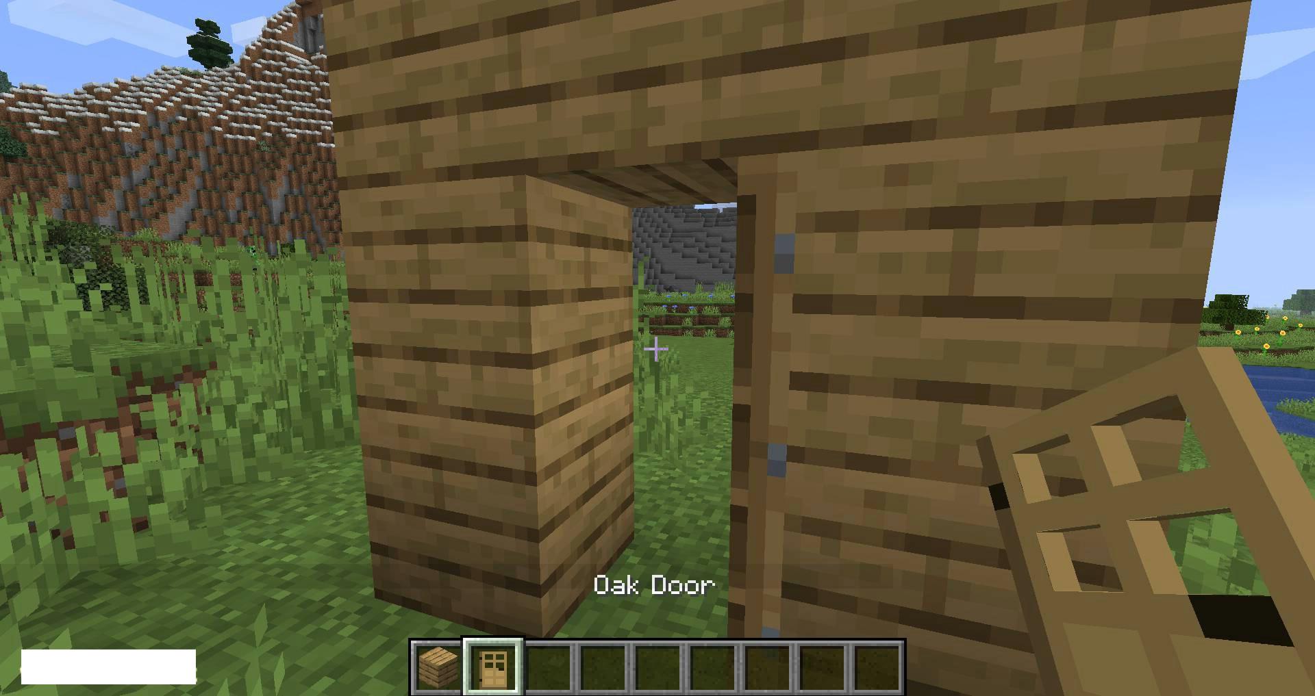 Double-Doors-mod-for-minecraft-02.jpg