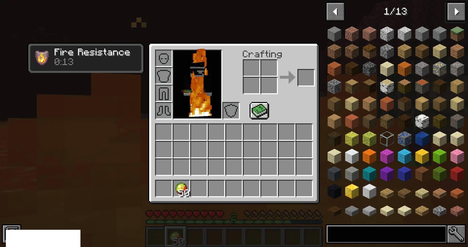 Edibles-mod-for-minecraft-07.jpg