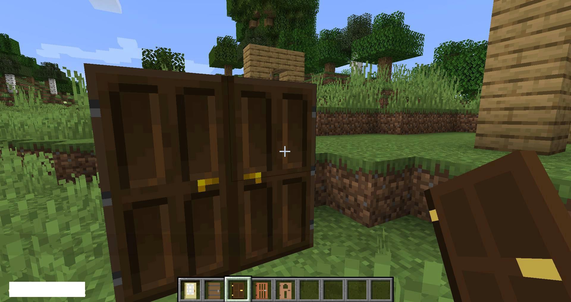 Double-Doors-mod-for-minecraft-08.jpg