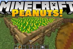 Peanuts-mod-for-minecraft-logo.jpg