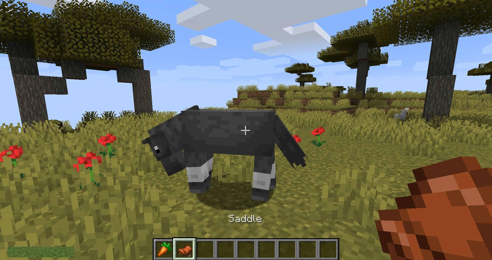 Stupid-Horse-Stand-Still-mod-for-minecraft-05.jpg