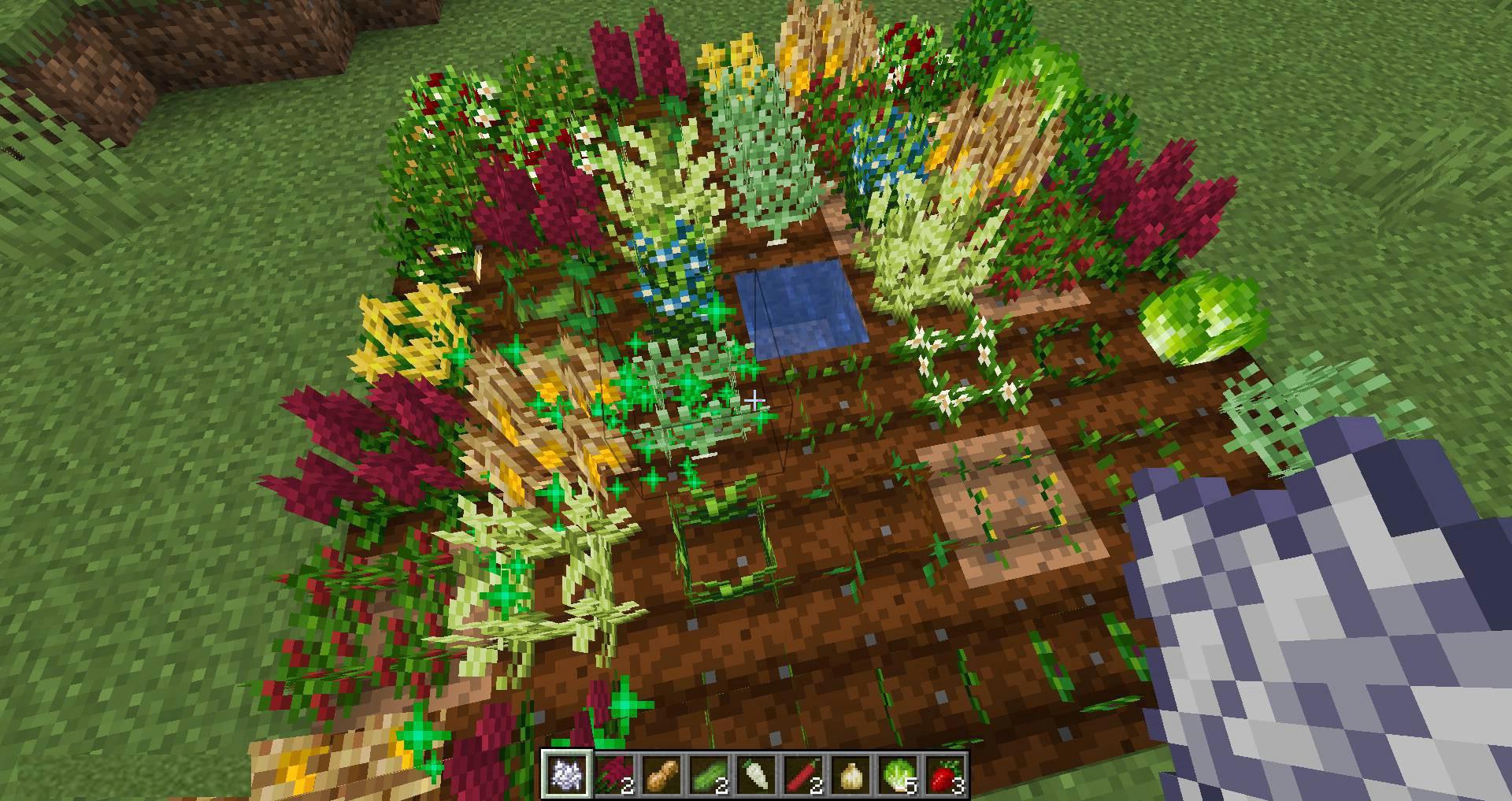 Pam_s-HarvestCraft-2-Crops-mod-for-minecraft-05.jpg