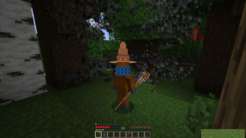 Wizard-Staff-Mod-Screenshots-11.jpg