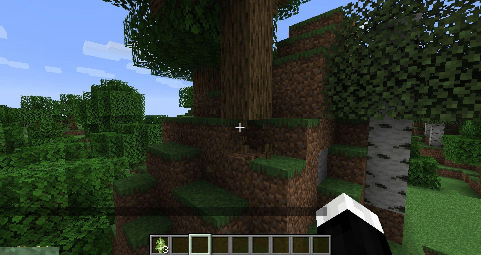 Trees-Do-Not-Float-mod-for-minecraft-10.jpg