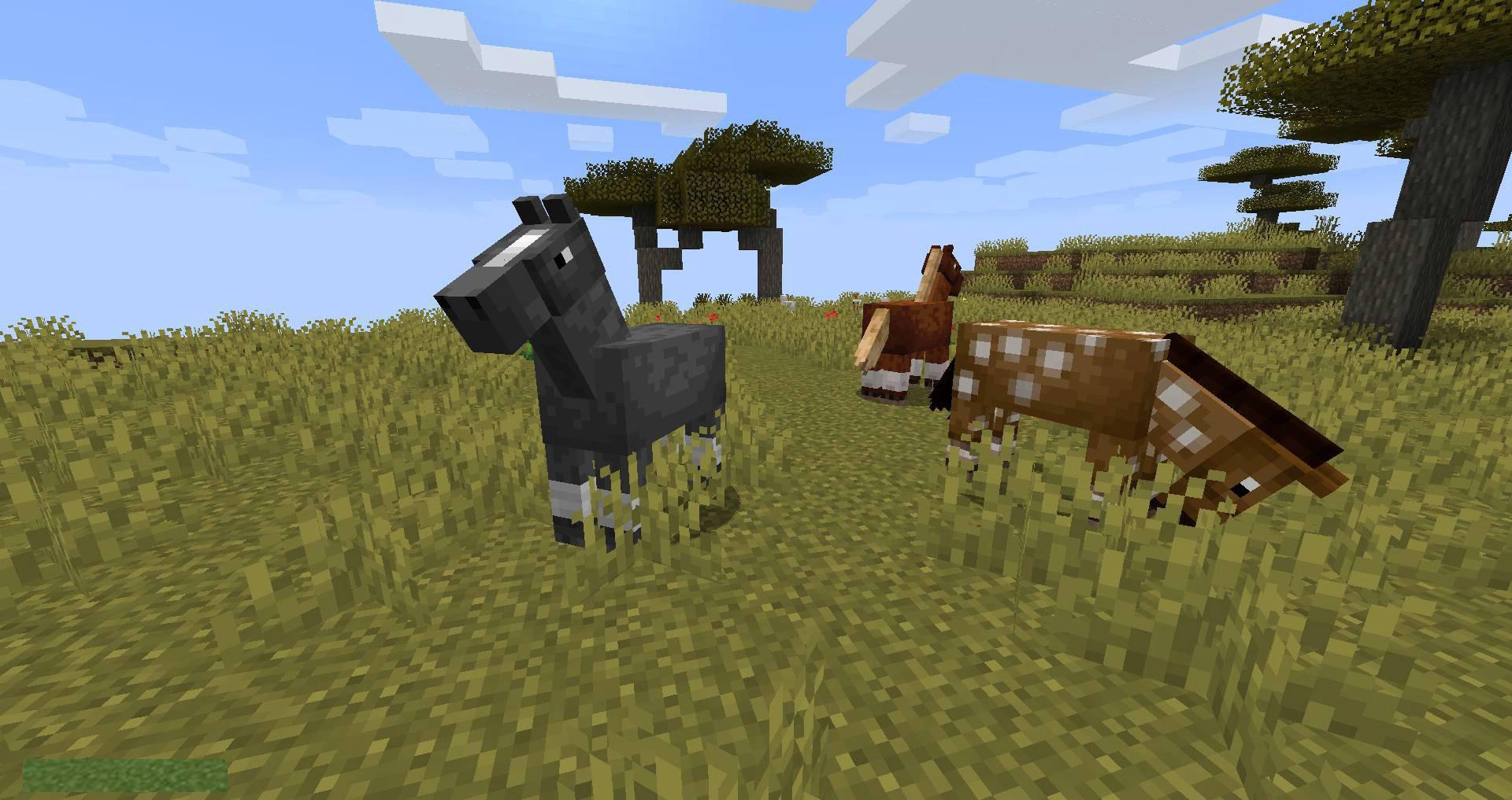 Stupid-Horse-Stand-Still-mod-for-minecraft-01.jpg