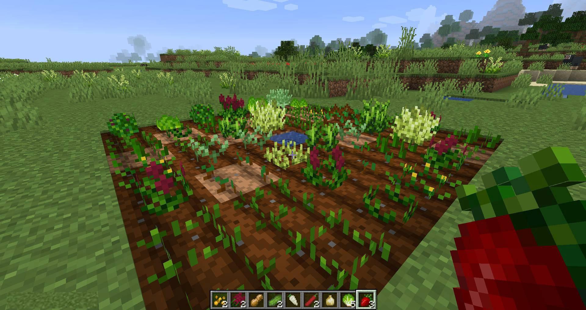 Pam_s-HarvestCraft-2-Crops-mod-for-minecraft-04.jpg