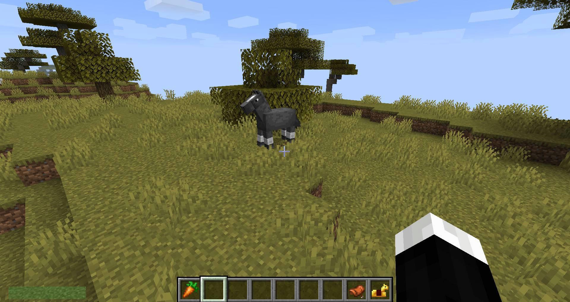 Stupid-Horse-Stand-Still-mod-for-minecraft-13.jpg