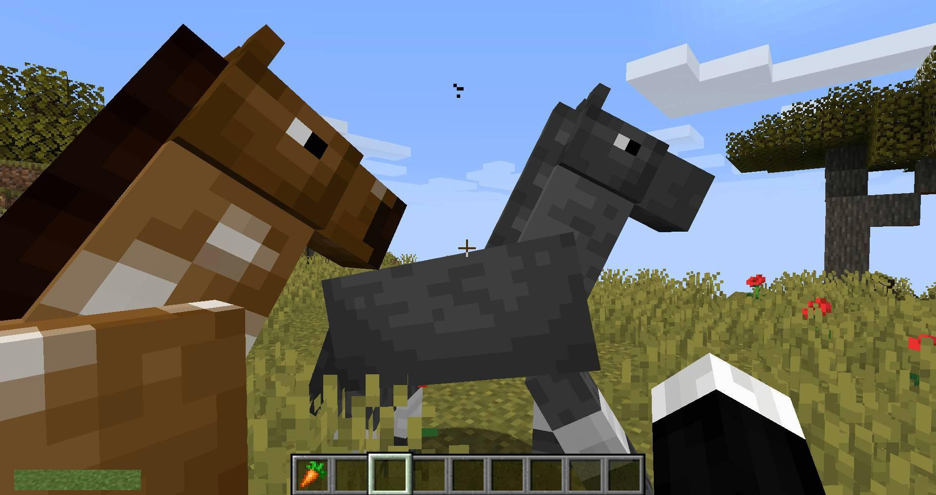 Stupid-Horse-Stand-Still-mod-for-minecraft-03.jpg