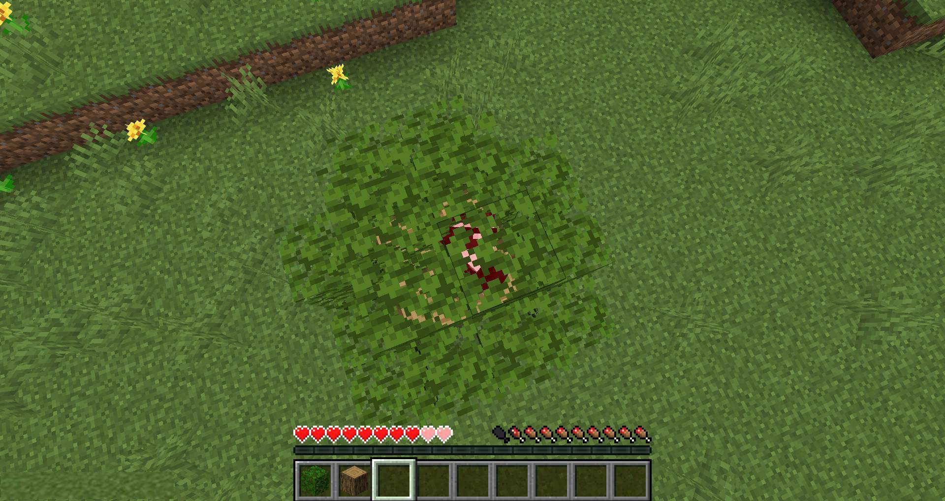 Passable-Foliage-mod-for-minecraft-11.jpg