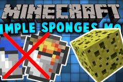 Simple-Sponge-Mod.jpg