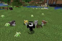 Wolves-with-armor-mod-for-minecraft-08.jpg