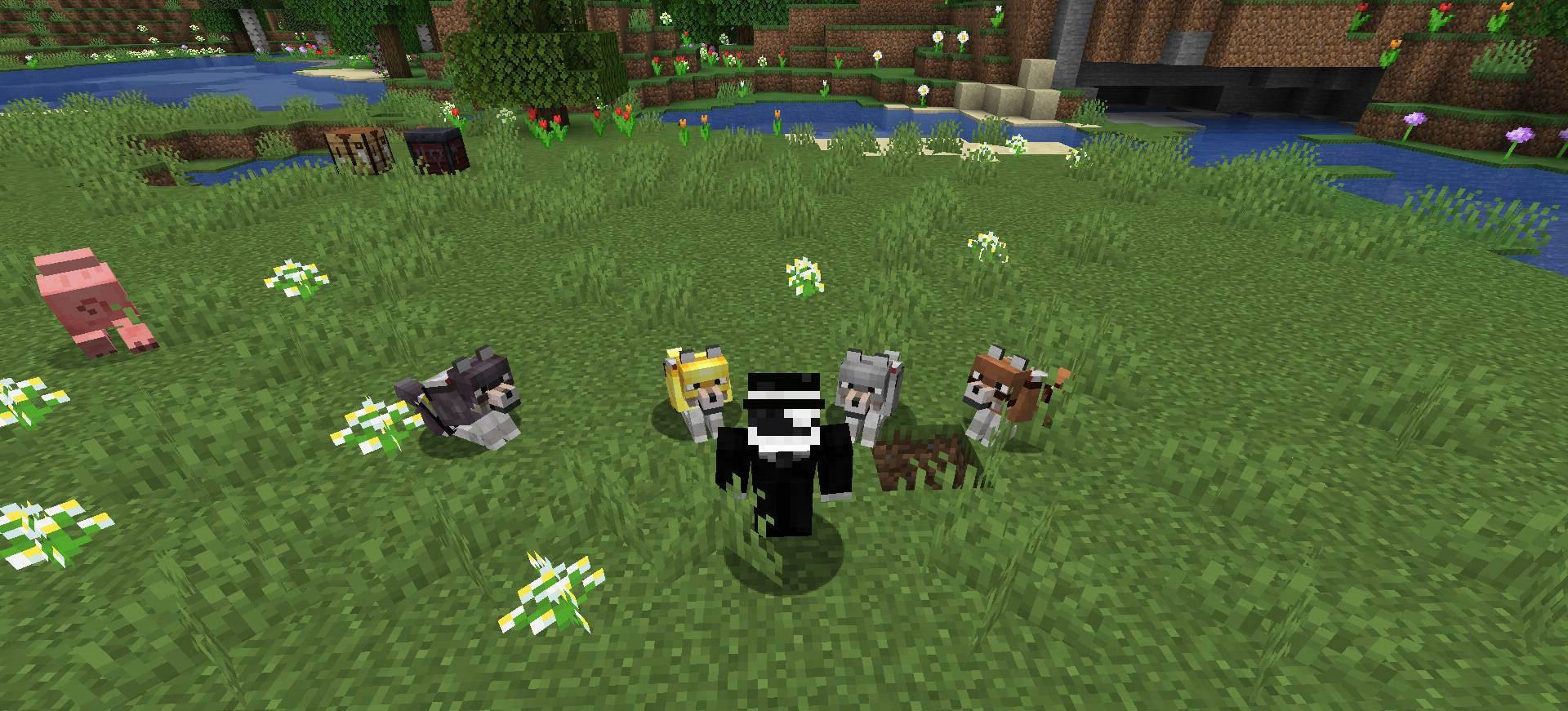 Wolves-with-armor-mod-for-minecraft-08.jpg