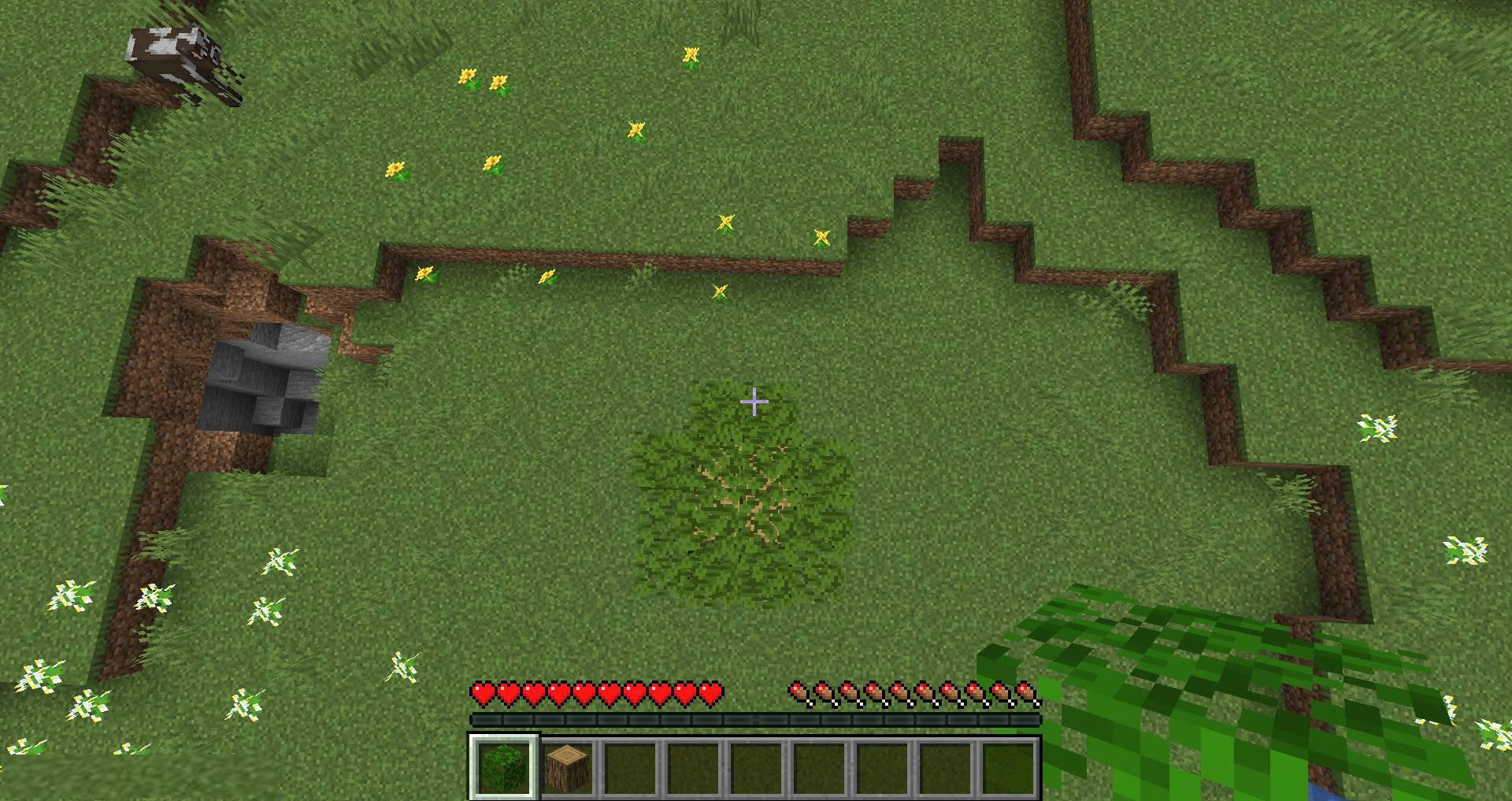 Passable-Foliage-mod-for-minecraft-08.jpg