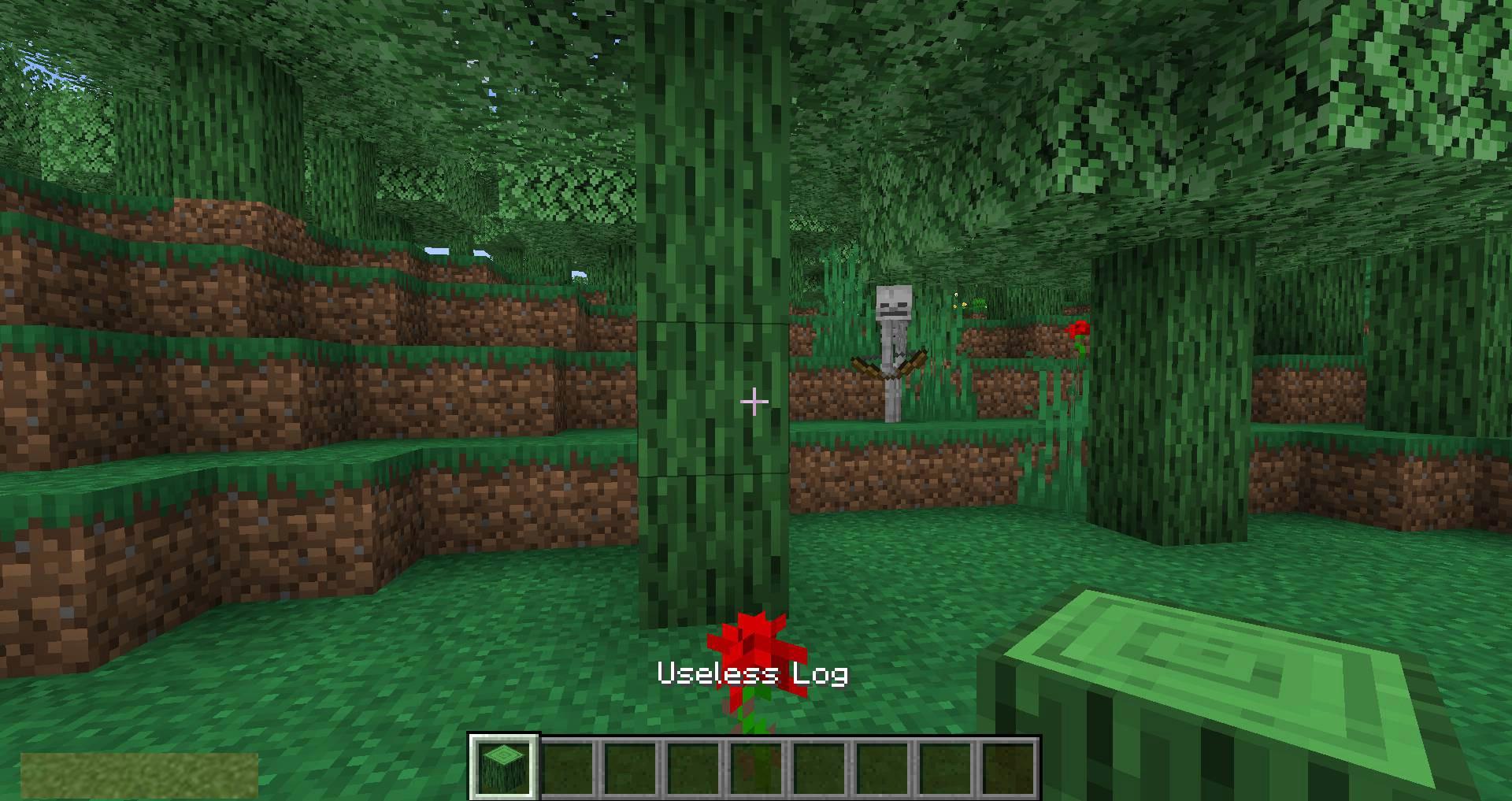 Useless-Mod-for-minecraft-03.jpg