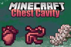 Chest-Cavity-Mod.jpg