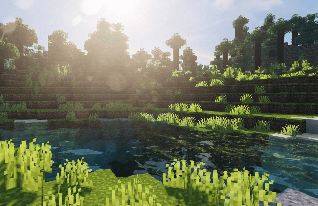 screenshot_2025-02-17_10-45-15.png